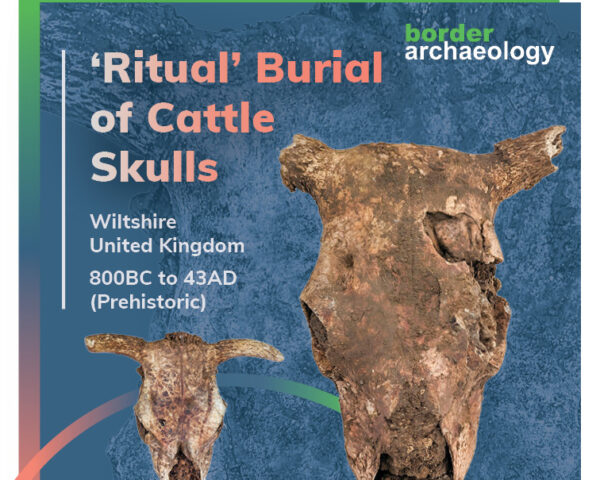 ‘Ritual’ Burial of Cattle Skulls