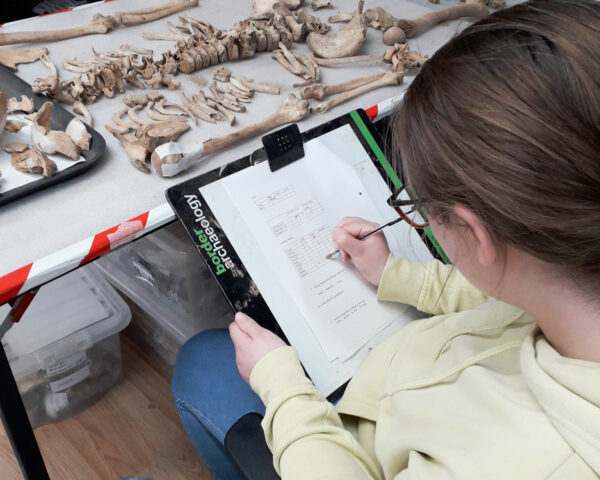 Osteological recording